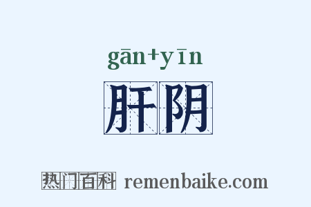 肝阴是什么意思的图片